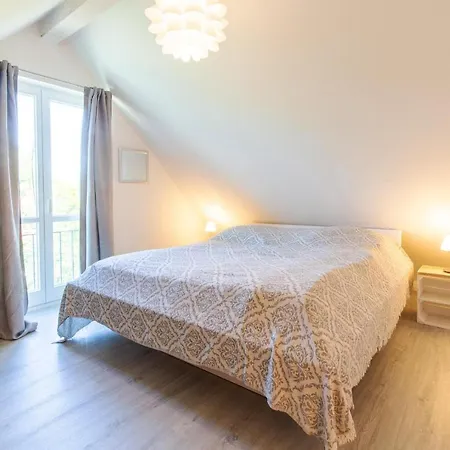 Darsser Freiraum * بريرو